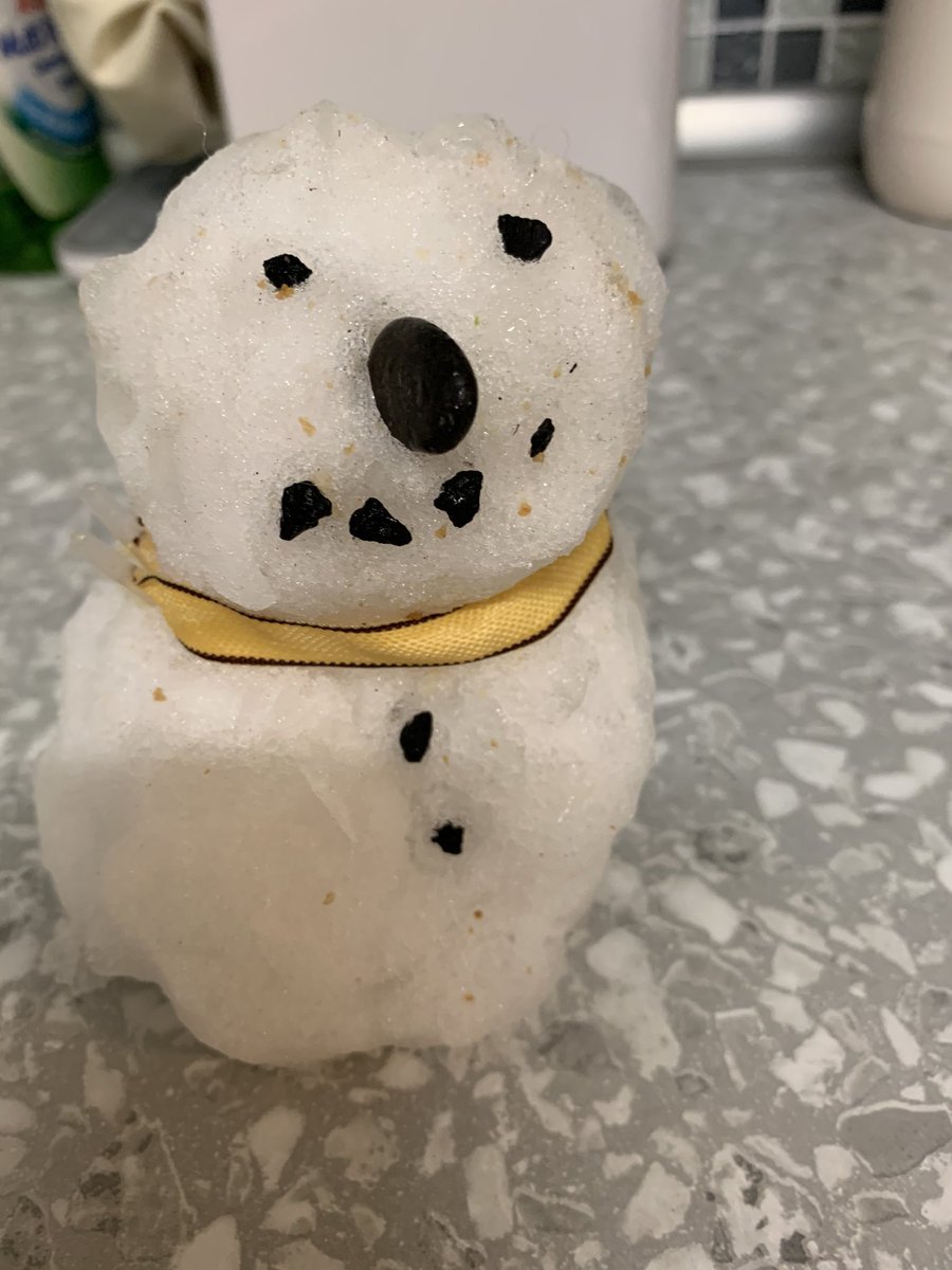 kymikat_ford's tweet photo. You know that your freezer needs defrosting when you find a snowman has taken up residence!!!!! https://t.co/a6QrlUg9gs
