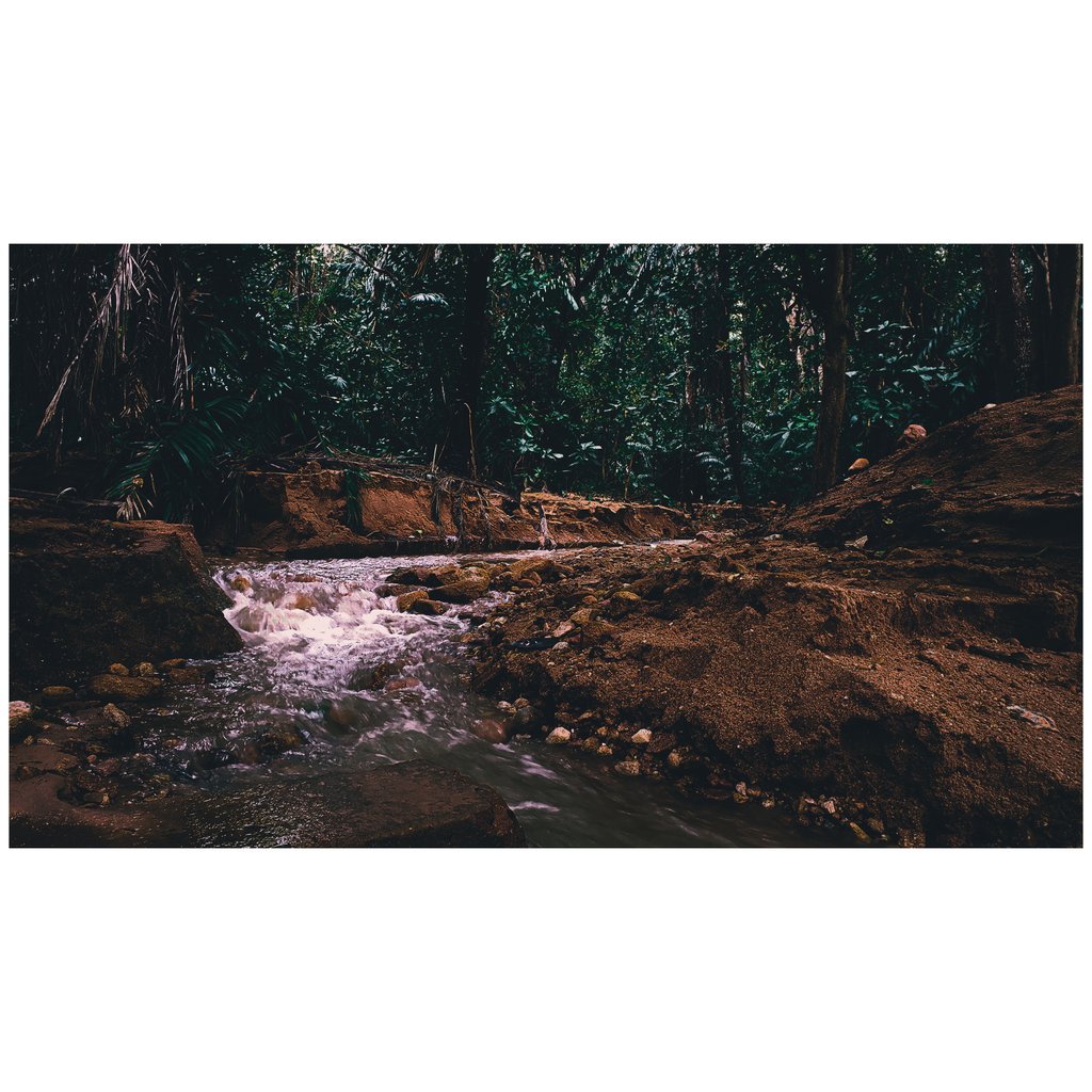 StevieBicco's tweet photo. Treat Life With Care.. It Will Return The Favor.. #VSCoTanzania #PichaZaSimu #ShutterbugsTz #PhotographyTz #AdobeLr https://t.co/JsBwDCTUAb