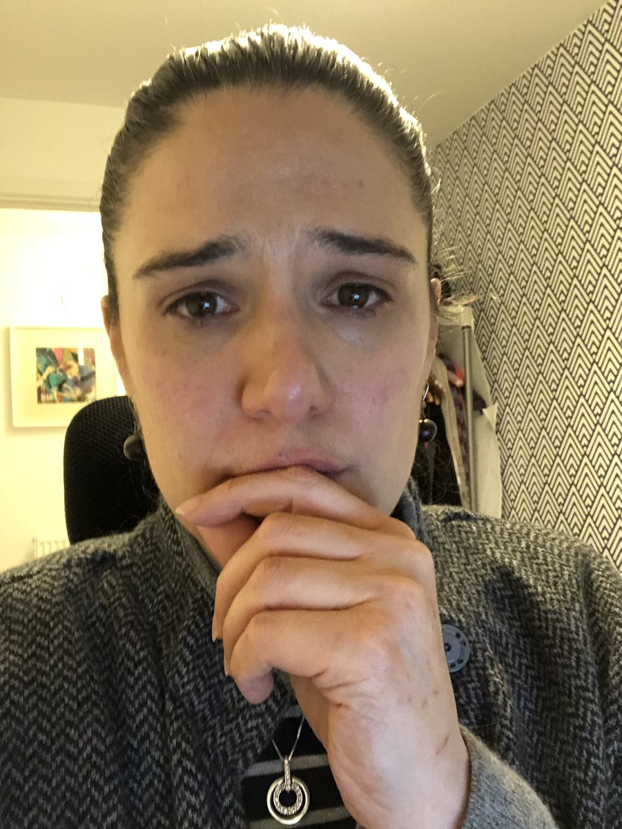 LibDemVix's tweet photo. My face watching the @LibDemMEPs video I just shared #TearsofSadness What a terribly sad sad day for us all 😭😭😭Even for those who don’t even realise it yet #ForeverEuropean🇪🇺🧡 https://t.co/8wXr8VO5eM