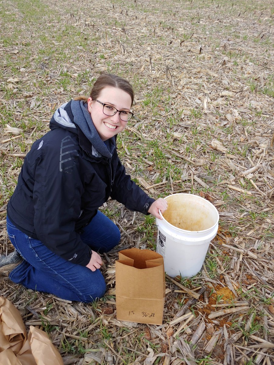 Soil_gal's tweet photo. Successful #soil sampling today! Thanks @farm_her for your help! We are investigating how long-term #covercrops and #ConservationTillage are affecting subsurface P loss. https://t.co/cFjp59R0uo