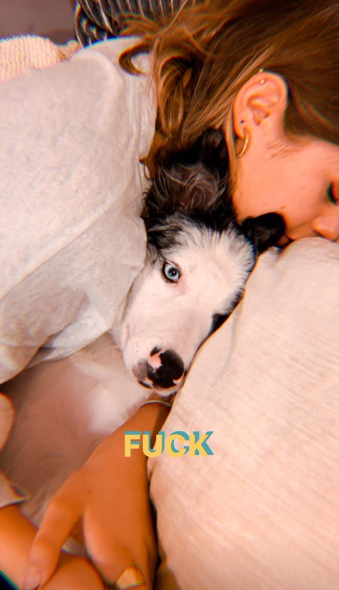 DuraznaDBarbie's tweet photo. Mi novia @barbara_lopez21 y su gran sentido del humor, enserio la amo bien cabron ❤️❤️🙌
#BarbaraLopez #LanaLopez https://t.co/HUGNxSxE1D