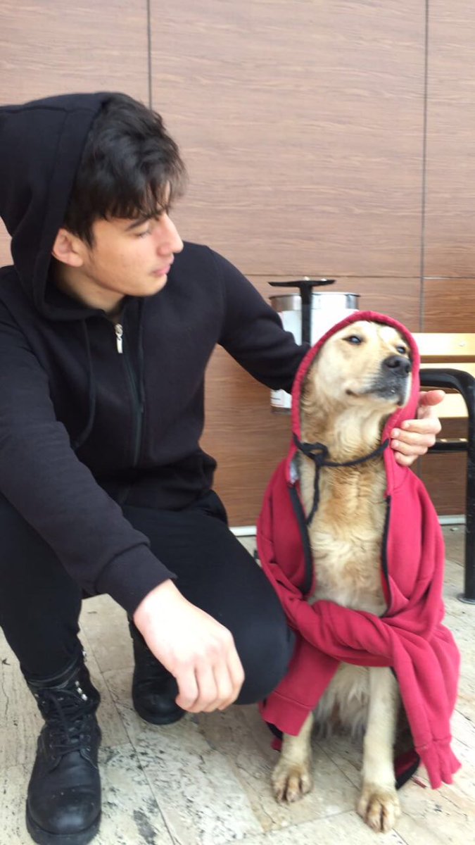 Eski manit biraz tripliydi