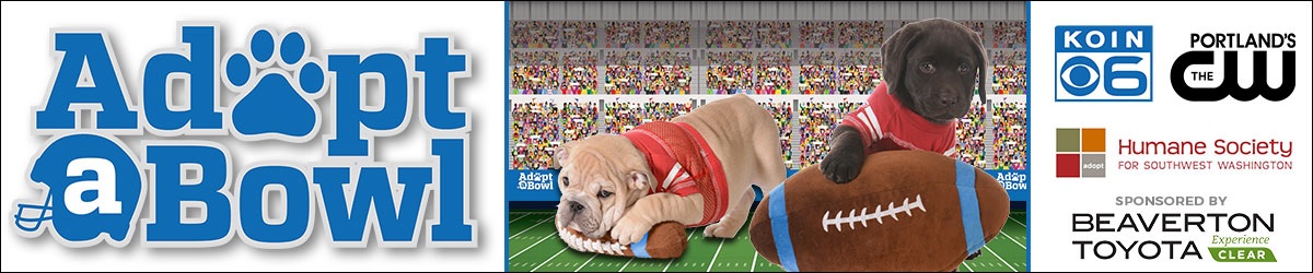 N_DeCo's tweet photo. Getting to referee the Adopt-a-Bowl for @KOINNews and @PortlandsCW was a blast!

Who will win? EVERYONE! Which player is your favorite? Lots of MVP's - most valuable pets!

https://t.co/Lwp5IpvU55

#PDX #Portland #Superbowl #Cats #Dogs #AdoptABowl https://t.co/m3fgJXMghe