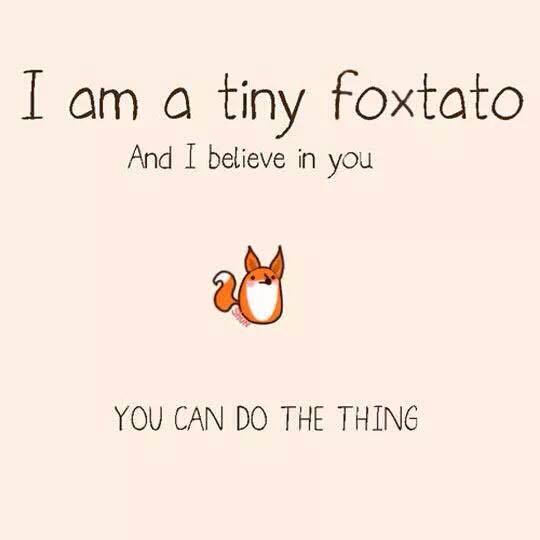 Tiny Foxtato: I am a Tiny Foxtato. And I believe in you. You can do the thing. Peach background, orange and white foxtato in the middle. 