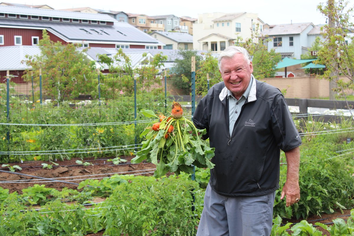 Three farms mean three times the fun (and three times the tasty fresh produce!). Who else is looking forward to the harvest this year? #FarmOnFriday #TheRanchRocks