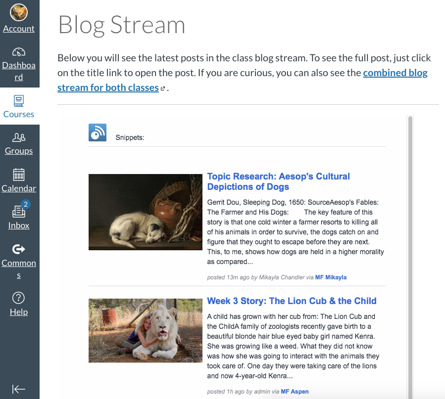 screenshot of blog stream inside Canvas course