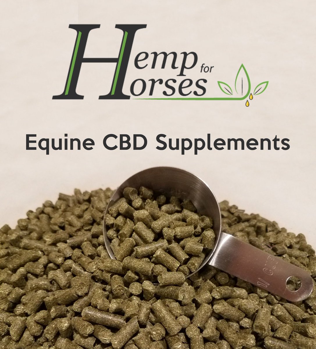 Hemp for Horses (HempForHorses) Twitter