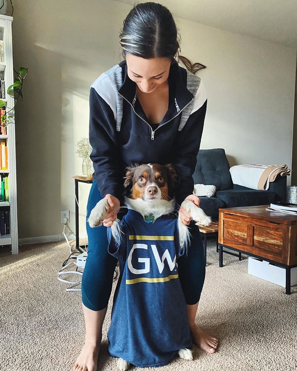 Dog wearing GW shirt