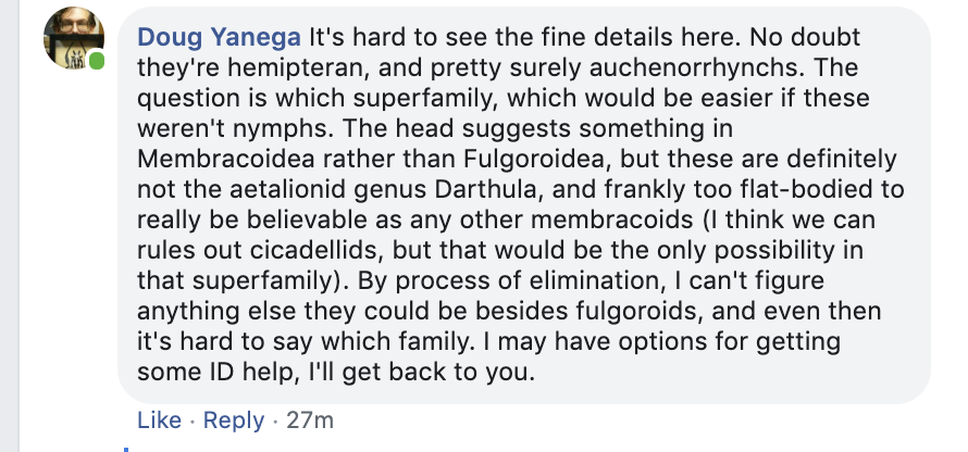 Eric Gordon tweet media