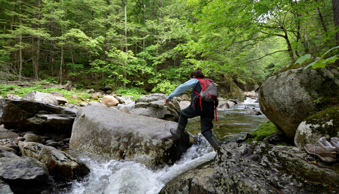 Hubbard Brook Experimental Forest