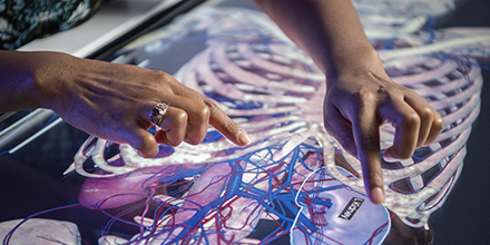 Image of hands interacting with a virtual anatomy table.