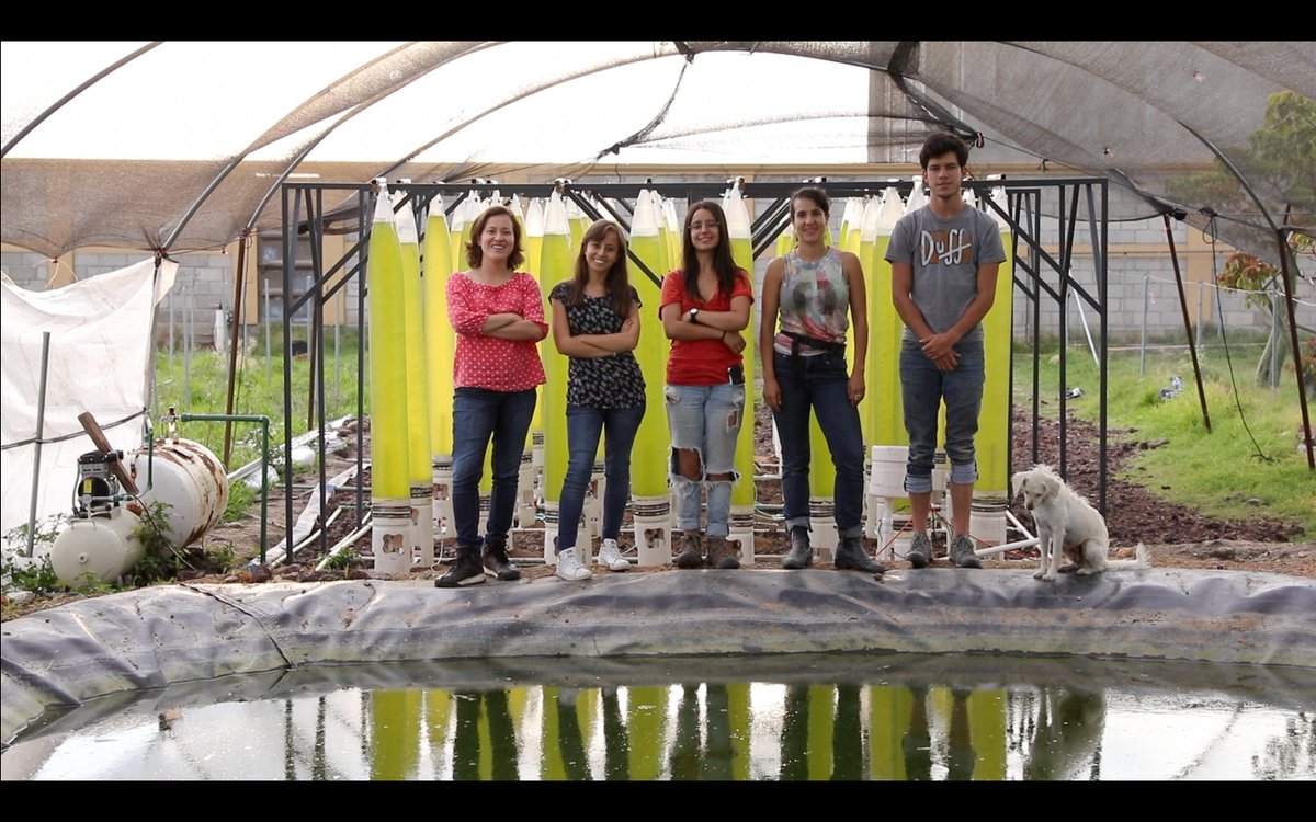 EarthsCall's tweet image. Fish Poop to the Rescue
A team of mainly women scientists in Mexico is working to turn tilapia waste into a solution to save water, ease pollution, and even make a dent in world hunger
earthscall.org/news/fish-poop…