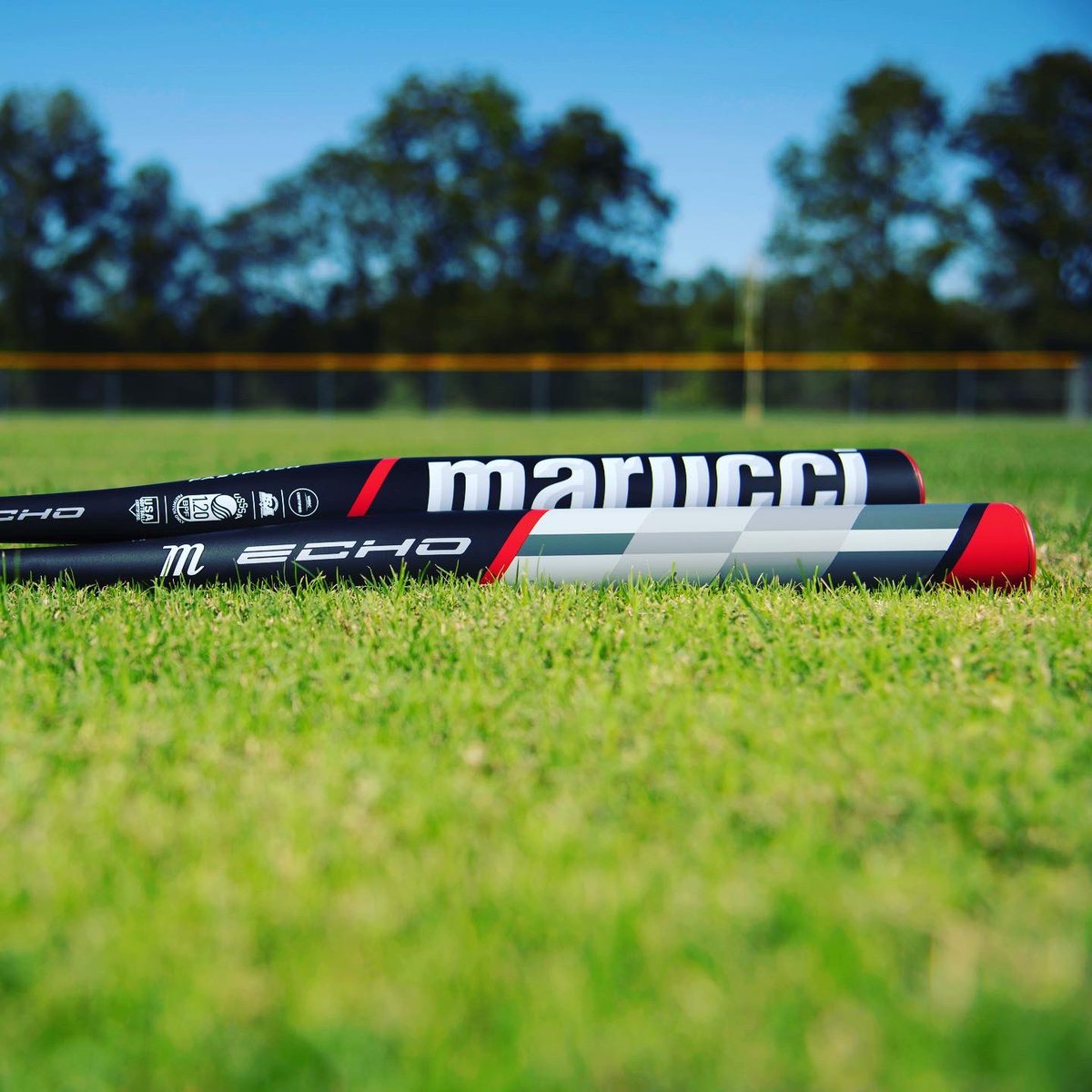 marucci echo fastpitch bat