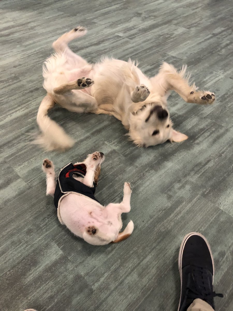 New friends teaching each other dance moves