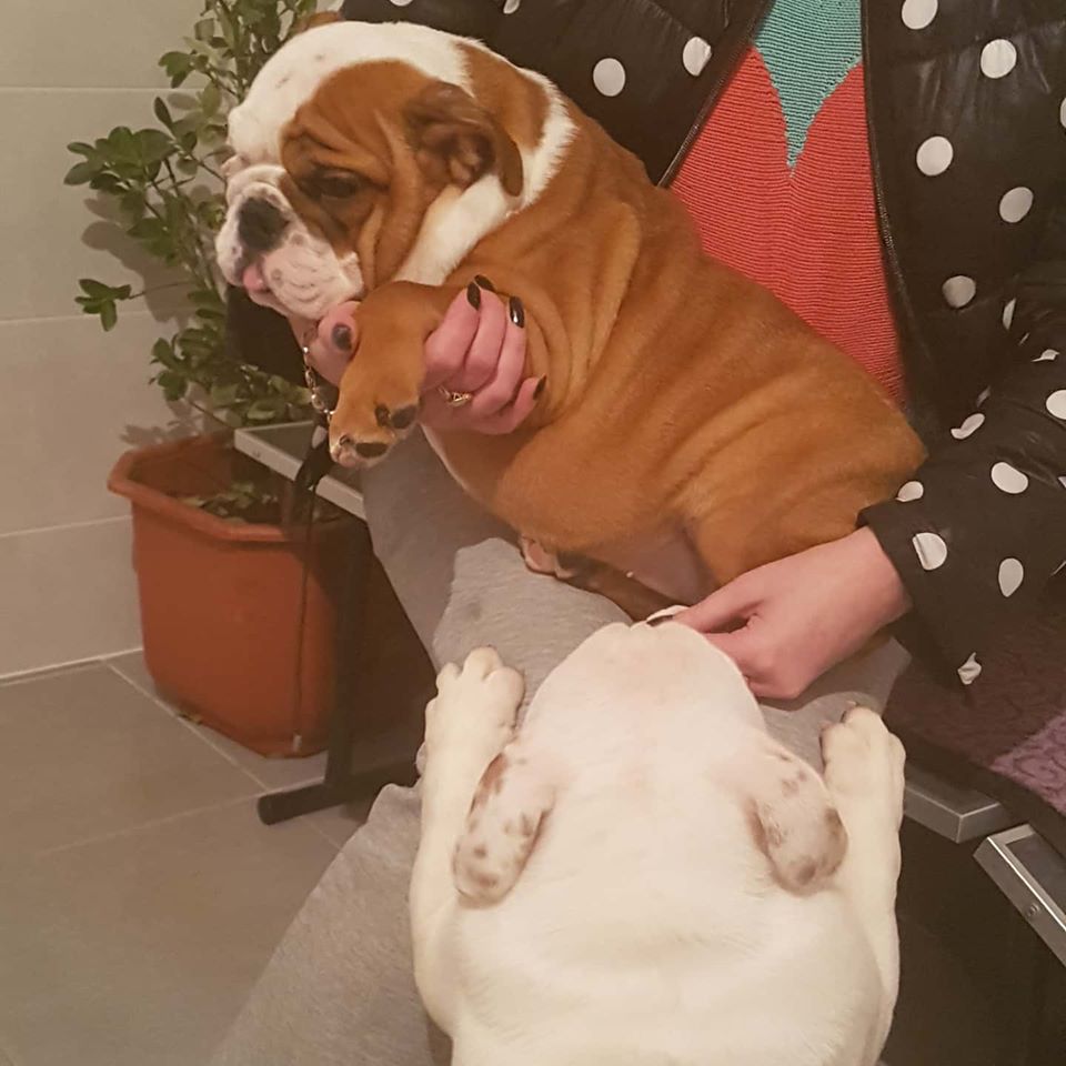 ImpireVictory's tweet photo. Prety girl! Ready for a new home💝💝💝🥰 https://t.co/MEMGQ0cuhN