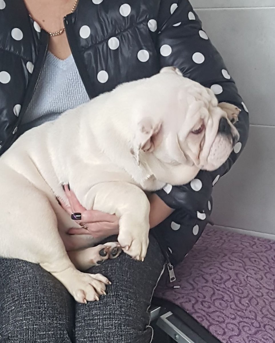 ImpireVictory's tweet photo. Prety girl! Ready for a new home💝💝💝🥰 https://t.co/XtJXOO3Skw