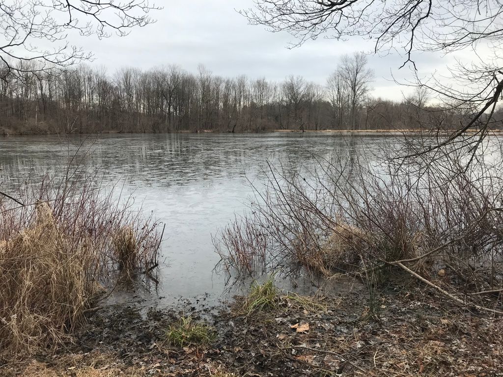 Nikkilee717's tweet photo. Attempting to section hike New Jersey’s Highlands Trail. Discovered a beautiful section right behind my office today during my lunch break! #newjersey #hiking #hikingadventures #sectionhike #sectionhiker #sectionhiking #highlandstrail #nj #getoutside #getoutdoors https://t.co/TGJ55Ojutj