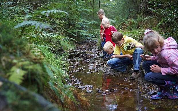 #MBDNature #MBDEducation