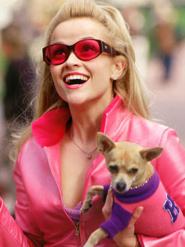Legally3Blonde's tweet photo. Watch Legally Blonde 2020 Streaming Online HD
Watch Legally Blonde 2020 Full Streaming Online
Watch Legally Blonde 2020 Full Download HD
Watch Legally Blonde 2020 Full Free Streaming
Watch Legally Blonde 2020 Free 123Movies

@Legally3Blonde https://t.co/KrMHiWJIp7