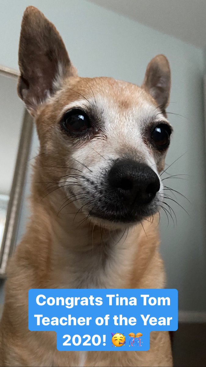 Taffy Tom tweet media