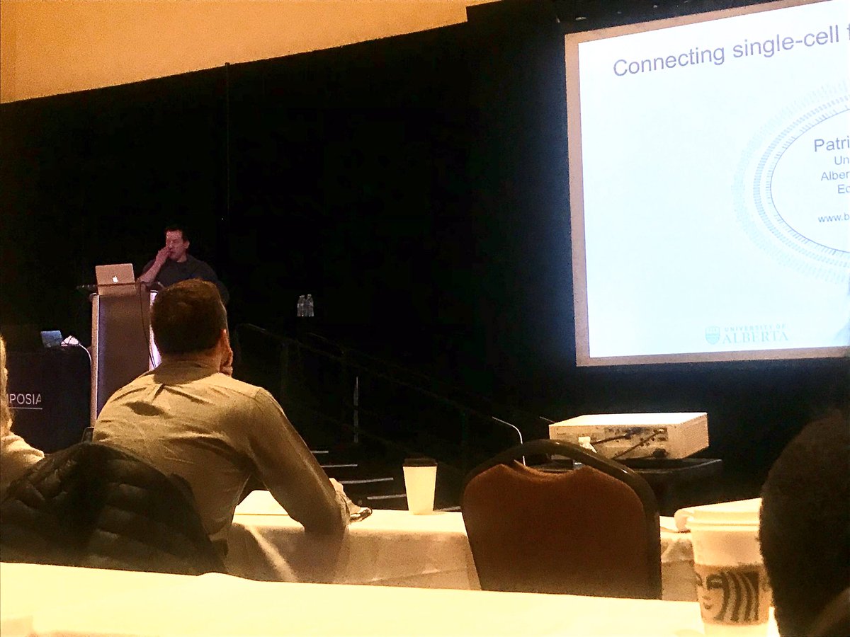 JSTessem's tweet photo. Patch-seq! Such powerful tools giving bettter understanding of the beta cell. Wonderful seminar @bcellorg . #KSIslet20 https://t.co/gR5D9eCbCX