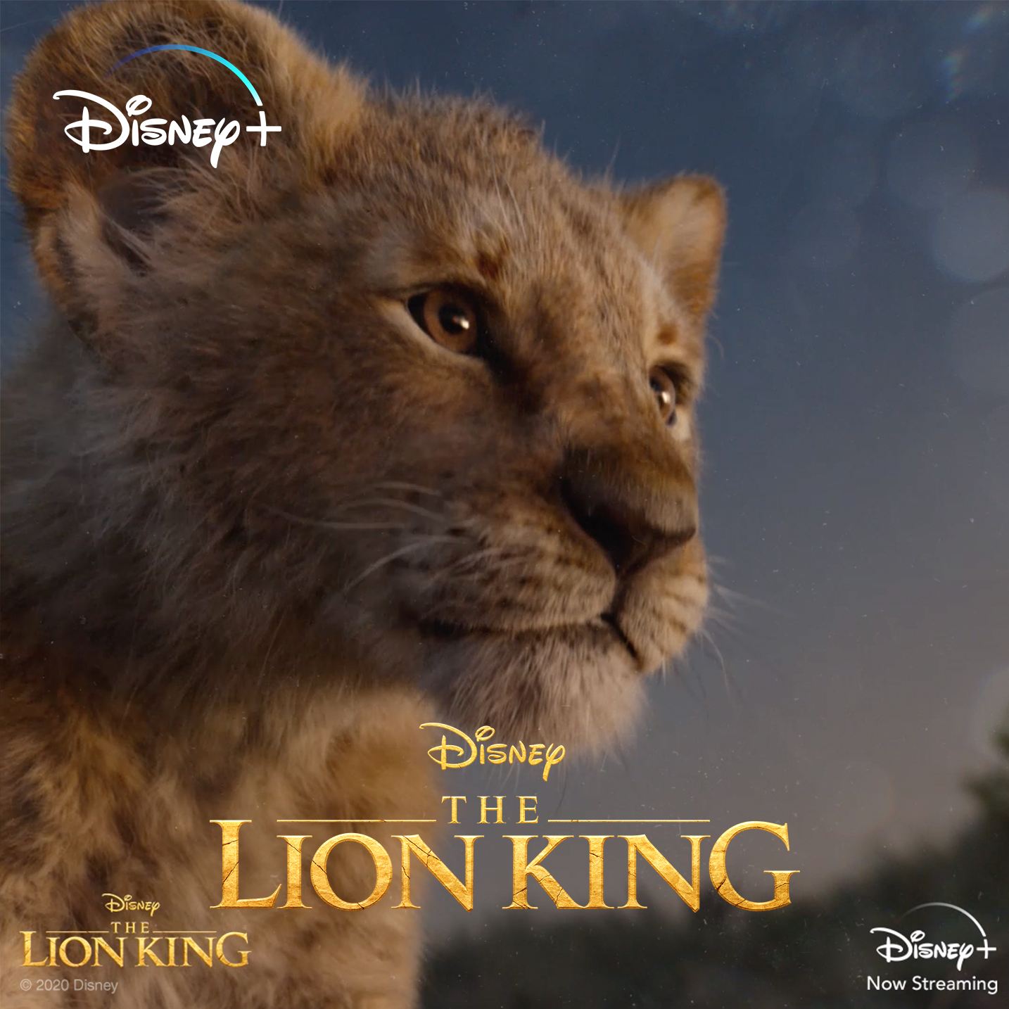 The Lion King Now Streaming Disney