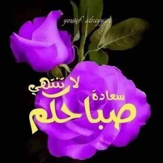 MzOrabi's tweet photo. https://t.co/bDqFVxQX7C