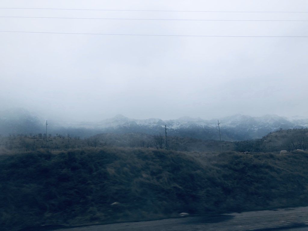 Shaimaa__agha's tweet photo. #Azmar #Sitak #Snowflakes https://t.co/2sj1P0KGze
