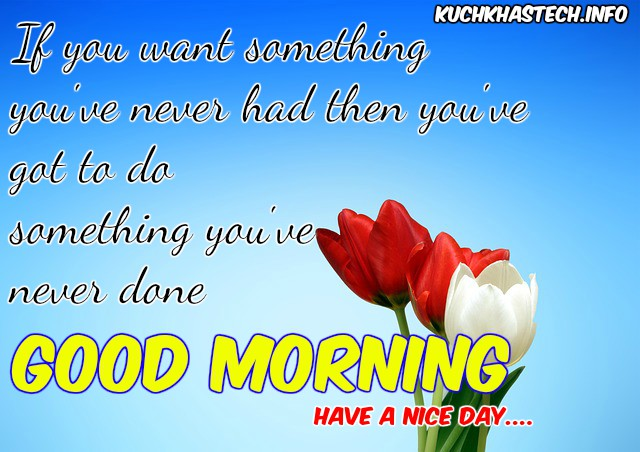 ranigill7's tweet photo. #GREAT!!! FRESH DAY FRIENDS , #HAPPY  MORNING  AMAZING!!! 🌻🌹🌻🌹🌻🌹 FRIENDS , #GBU ALL #THOUGHT@VandanaSharm  @jojoawana @Harjitk32610245 @kauserseema @pari25tri  @Pinkysmile24 @Surekhas159  @RubyKha09925269  @TweetyVerma  @ShwetaMittal20  CHEERS https://t.co/zpHYXW8jQ2