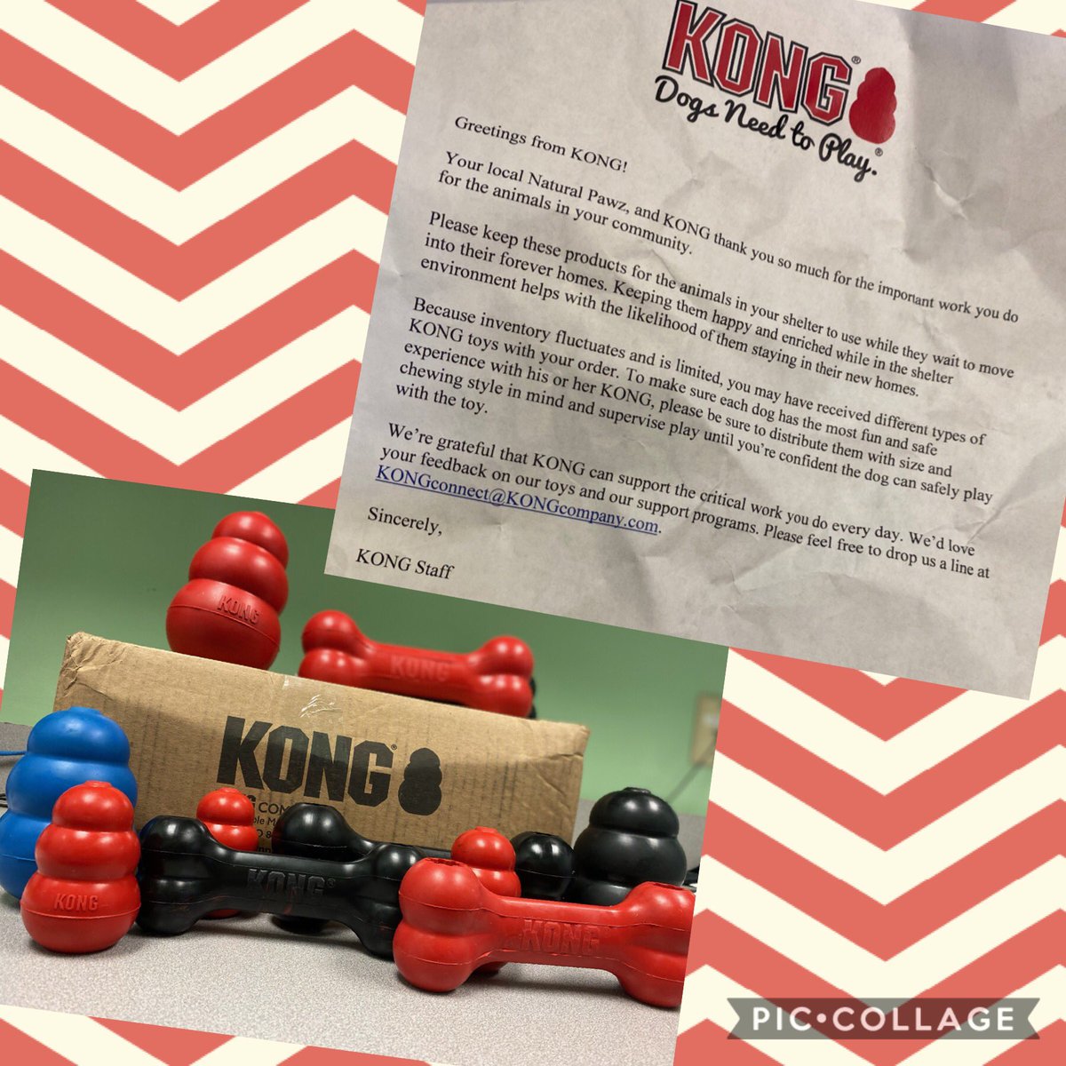 FBCASTX's tweet photo. #Thankyou so much for this generous #donation of toys for our dogs!#naturalpawz #Kong #DogsNeedToPlay https://t.co/Bc2QSsUP3Z