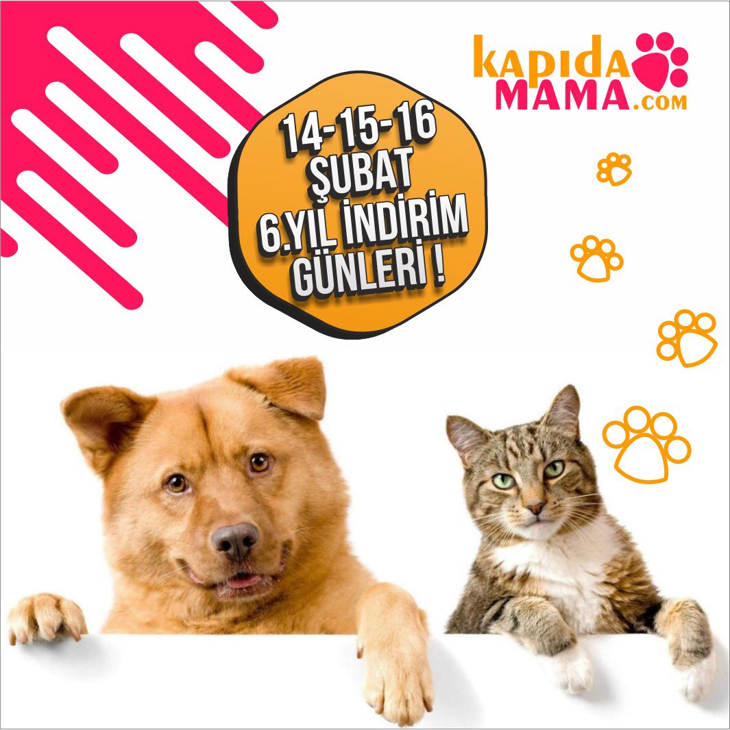 Çok yakında PATİCİK ‘te ! 🧩 #piretasmasi #kedimamasi #kopekmamasi #sevimlikopek #sevimlikedi #evcilhayvan #kediseverler #kedikiyafeti #kopekkiyafeti #kediodulu #animonda #kedioyuncak