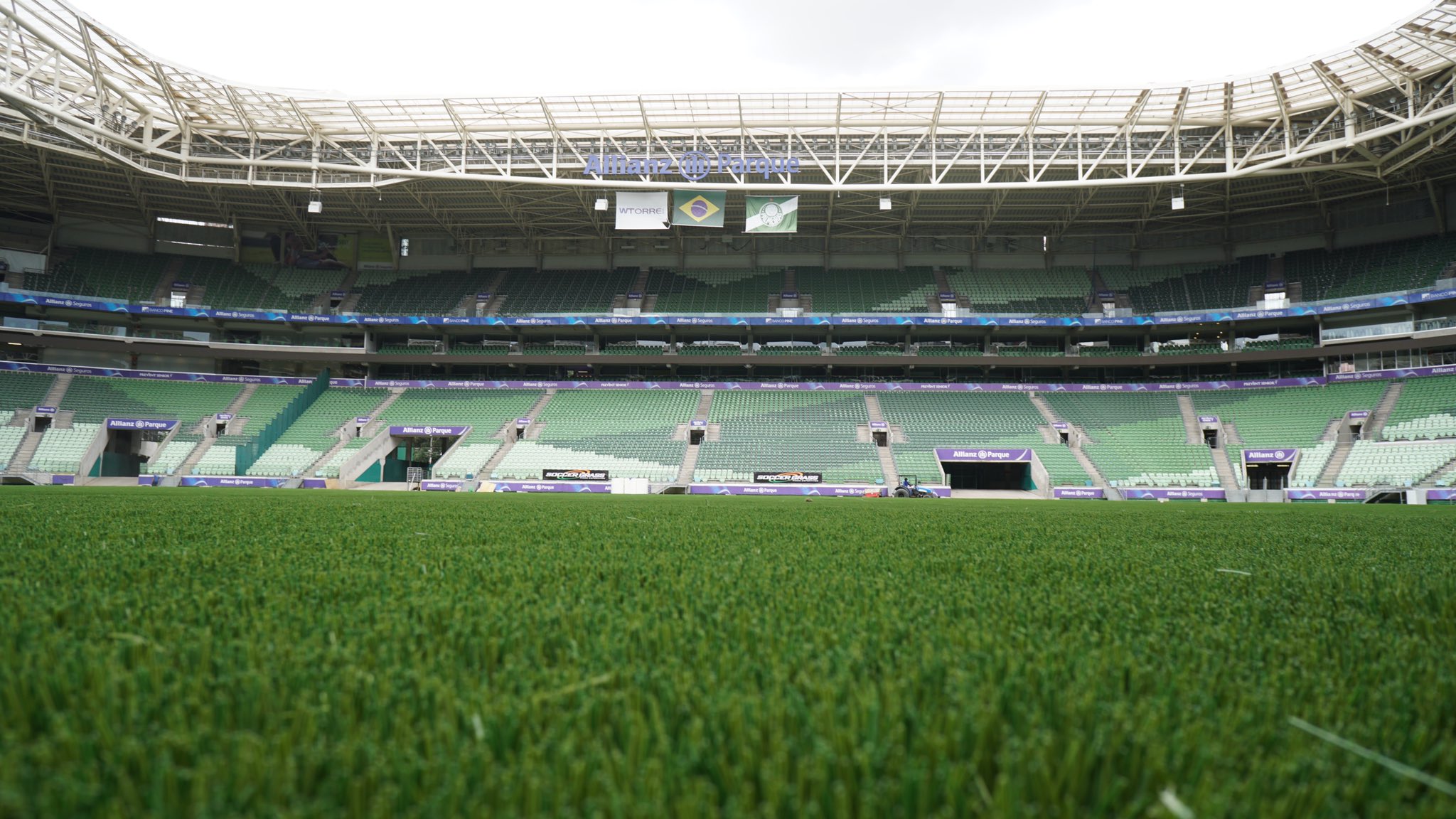 Veja novas fotos do gramado do Allianz Parque PTD