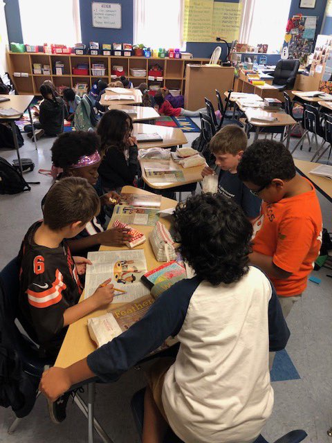 Daniela Whiteside tweet media