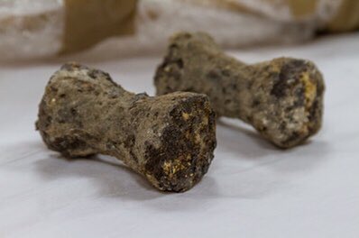 17Nineteen's tweet photo. So many interesting finds lately. Anyone recognise all of these 😁 All found under the floor. #heritage #conservation #construction @AllchurchesT @SunderlandSMH @17Nineteen @hpruk @MosedaleGillatt @CCT_Regen @TheCCT https://t.co/BFxXYdV9oS