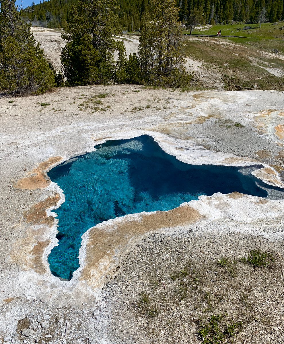 i took these while i was in wyoming &amp; i just want someone else to appreciate them as much as i do