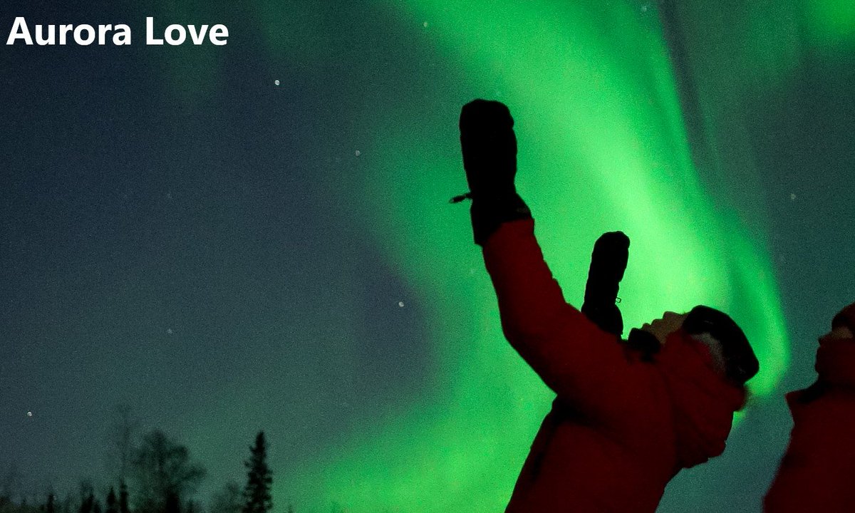 EcDevYukon's tweet photo. Sovereign Soil, Aurora Love and The Provider are screening this Sunday @YukonArtsCentre during #ALFF2020. Pleased to provide funding to #Yukon filmmakers David Curtis, Andrew Connors, Teresa Earle, Fritz Mueller & Jayden Soroka @YukonFilm #YukonStoriesMatter #filmlovers https://t.co/mmrVZYIMBA