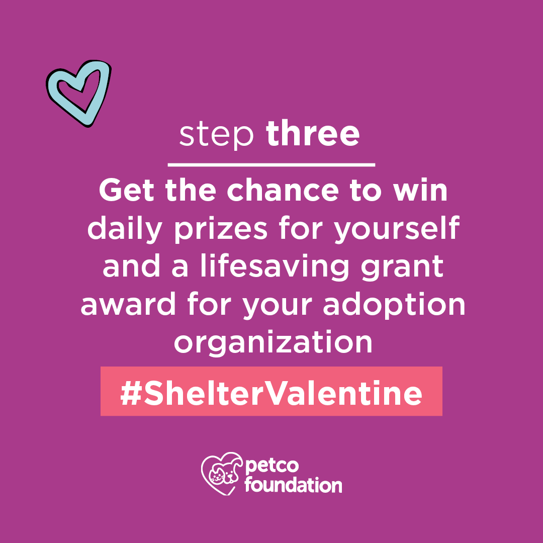 Celebrate the l💕ve of your adopted pet! Follow these steps to see how you can win prizes, and earn up to $10K for your adoption org. bit.ly/38Y4tex