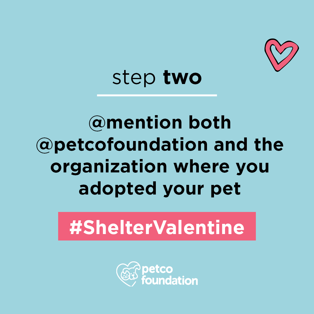 petcolove's tweet photo. Celebrate the l💕ve of your adopted pet! Follow these steps to see how you can win prizes, and earn up to $10K for your adoption org. https://t.co/k0FluOz2sD https://t.co/h5SJbB6MQx