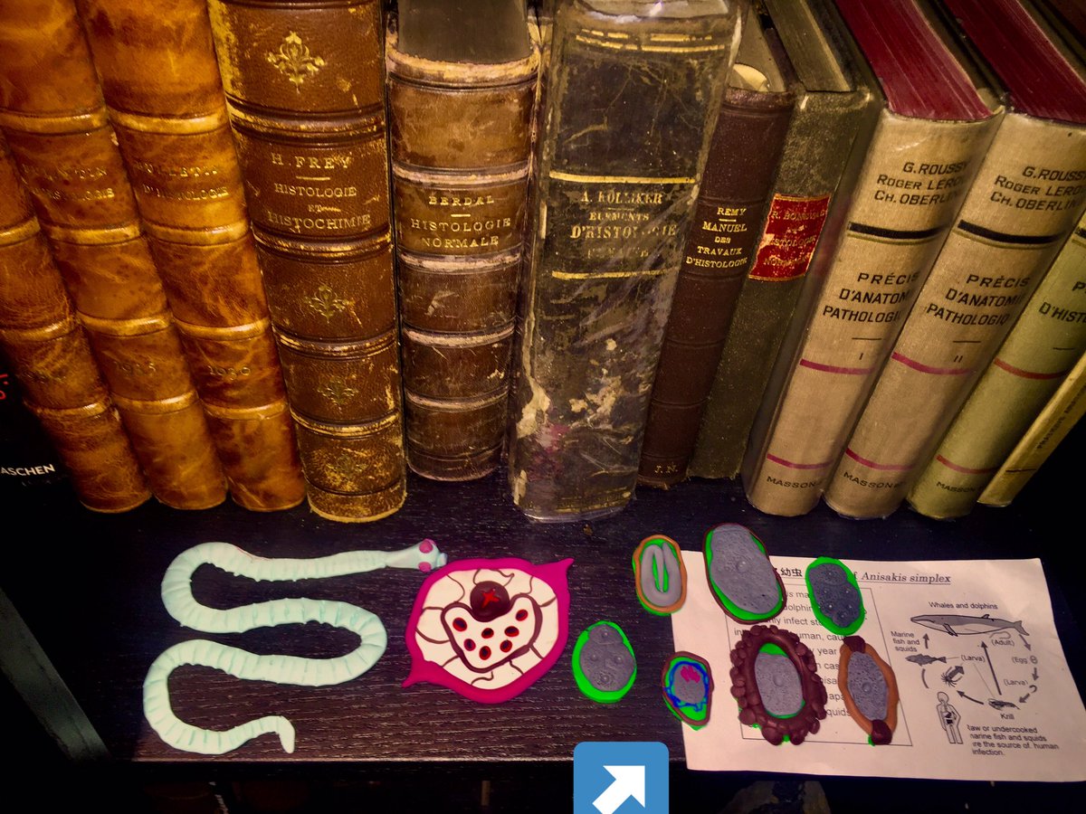 pipoulou_kgb's tweet photo. @ParasiteGal @Pathologists @JMGardnerMD @mayocliniclabs @ASTMH @AmSocParasit @LSHTM #parasitology #pathart #DIY #infectiousdisease #infectiouspath @ParasiteJournal @SEAP_Art @SEAP_IAP @MPathyart @WBParaSite @BSPparasitology @UTParasitePulse @MoiParasite This egg from my hand maid collection of parasite/eggs ... 😉 https://t.co/7STgiHuZ6B