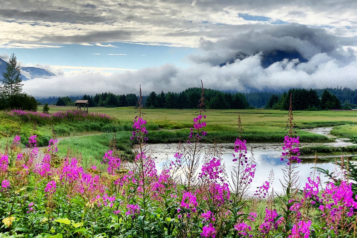 Dike Trail of the Mendenhall Wetlands in Juneau, Alaska. Credit: Richard Yamada.