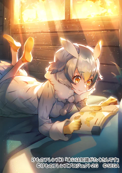 SEGA様の『けものフレンズ3』にてフォト「本には知識がたくさんです」を描かせていただきました。
よろしくおねがいします!
https://t.co/JQ2PZptaCo
#けものフレンズ3 #けもフレ3 #けものフレンズ 