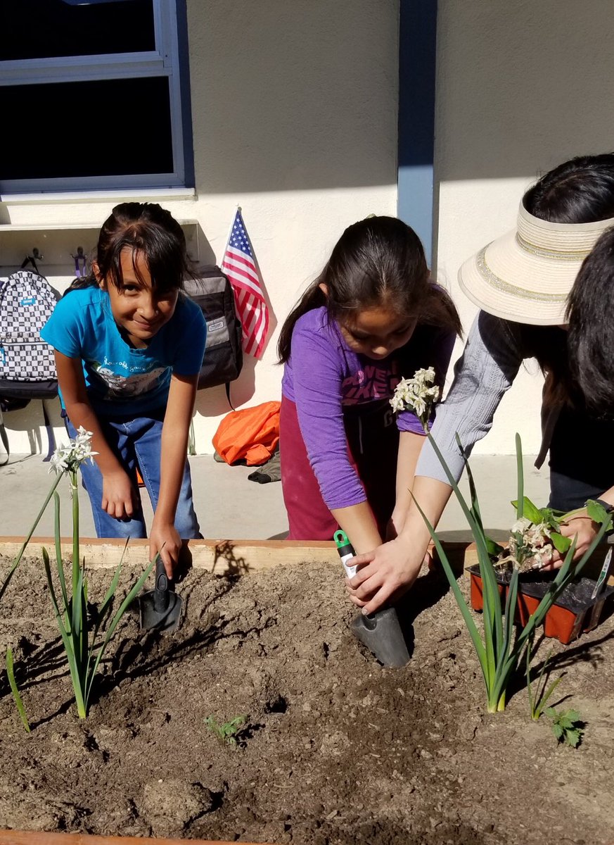 friedabahr's tweet photo. Grade 2 loves our veggie garden! @DosCaminosPVSD @CherylP36885313 https://t.co/iy18sRKyIs