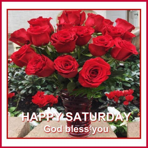 ranigill7's tweet photo. GOOD GOOD MORNING #FB FRIENDS🌹 #HappyMORNING ☀️🌹🌻☀️#PARAMJIT G , DR MANIK ,RUBY #PRAMOD JI #PARVEEN G ,HAPPY AND TIMPY ALI SANDHU, SUHANI ,ASHRAF G SHASTRY &amp;ALL @bluvd18 @RubyKha09925269 @Pinkysmile24 @123toabc @abct0xyz @sagheer_usmani @anuragbindal2 https://t.co/61id1F6HFX