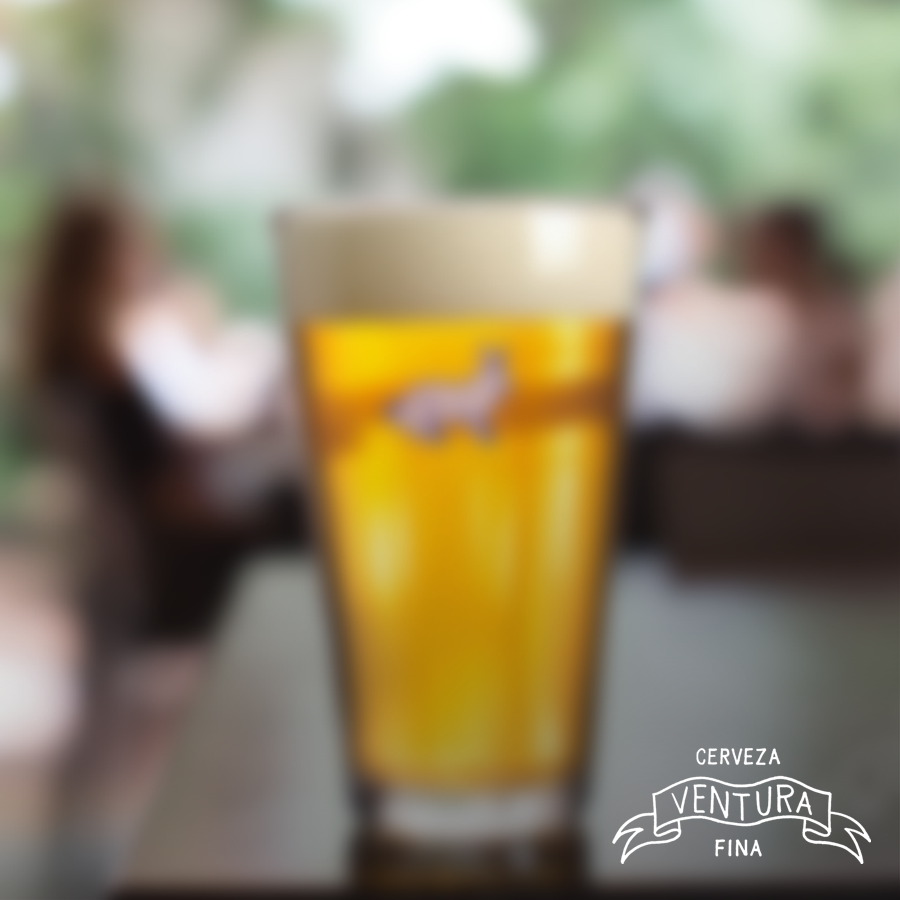 La visión borrosa es un sintoma de que necesitas cerveza... 🙄 😜 

#cervezas #beer #cerveza #bar #cervezaartesanal #amigos #comida #beers #n #tragos #dj #birra #restaurant #restaurante #craftbeer #instabeer #drinks #compartir #shots #colombia #instafood #os #parrilladas