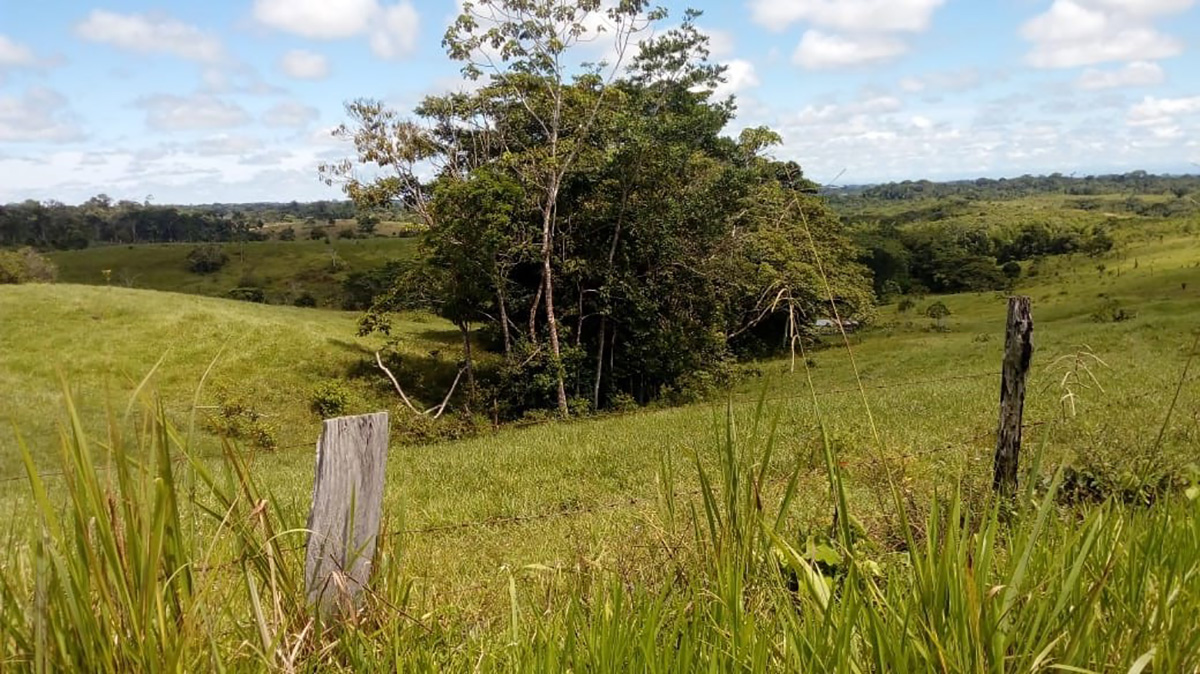 VRIUNAL's tweet photo. @UNColombia @PnudColombia @DIEB_UN @DieUNMed @UN_DIPAL @Extension_UN @UN_innova @EcosistemaInn @JAlexRoL @AgrariasUN @DiegoTorres_Fis @gabydel @DollyMontoyaUN @MisionONUCol @vie_fibog @FCA_UNmed @GobMeta @PiensaPazUnal @PosconflictoCO @FCienciasUNALco @IngenieriaUNBog @ICTA_UN @Sede_Orinoquia @Enlace_ori_UN @LaVozDelLlano1 @llaneracom @RadNalCo @humanasunal @FmvzBogun @MedicinaUNAL @Pacifistacol @MinAgricultura @MincienciasCo @NoticiasUno @NoticiasCaracol @DiegoHdezLosada @alejovargasve @OscarALizarazo @MarioHern_UN @Mevave @PrensaUN @pcorrea78 #UNInnovaSocial Agua, energía y producción, desafíos para La Macarena @Extension_UN @UN_innova @PNUDColombia @MincienciasCo @DIEB_UN @DieUNMed
📄https://t.co/W8MCQVGwPP vía @PrensaUN @UNColombia #Unal https://t.co/Jpjsk2YgDA