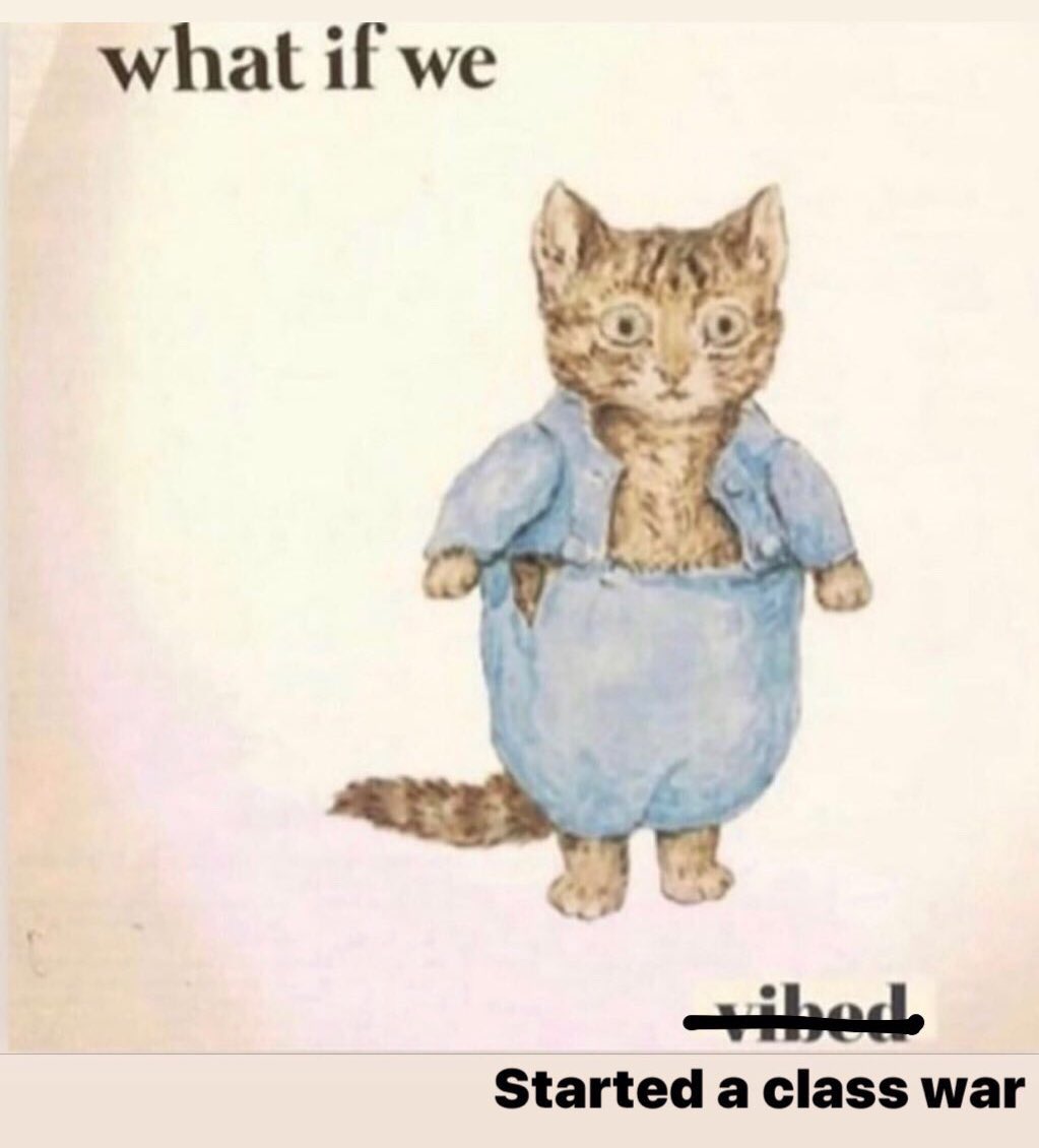 A small cat standing upright in denim staring blankly with the caption “What is we started a class war”
