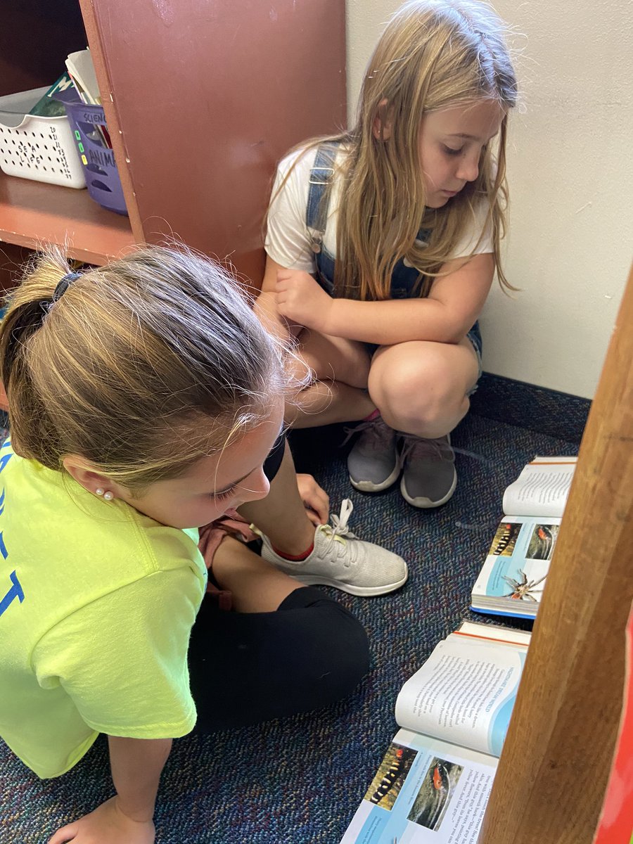 michellefultz4's tweet photo. Literacy Week https://t.co/HkobOir3jC