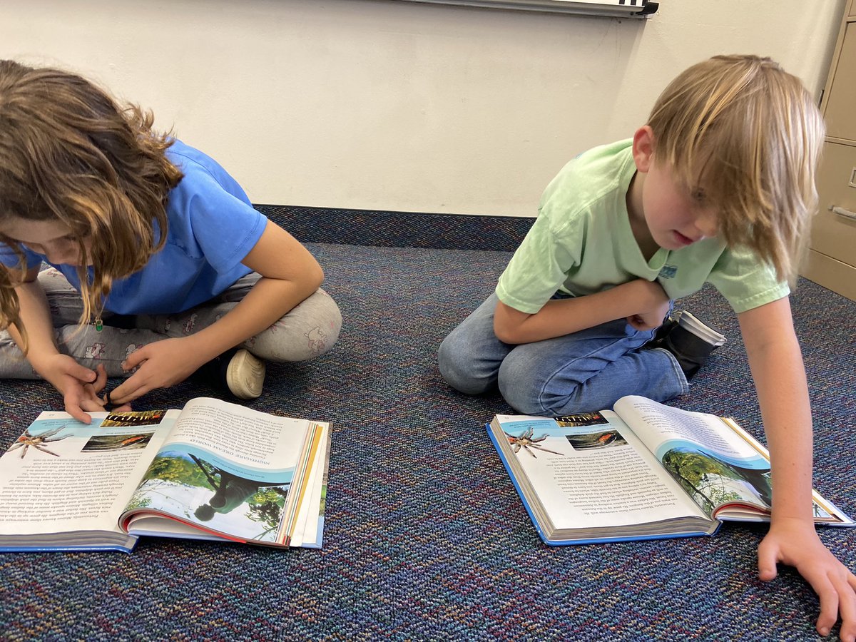 michellefultz4's tweet photo. Literacy Week https://t.co/HkobOir3jC