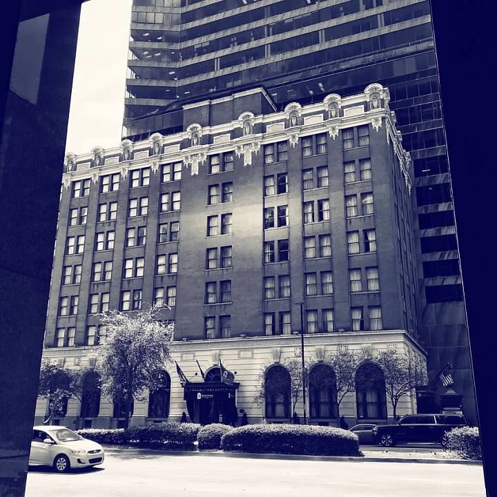 Alecia | Leisure Lambie tweet media