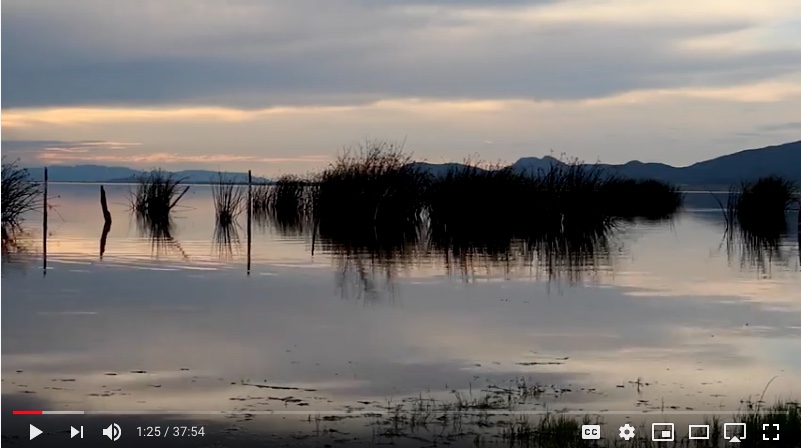 Luis Cifuentes (@nmsuvpr) on Twitter photo Check out this beautiful video featuring work of <a href="/NMSUGeography/">NMSU Geography and Environmental Studies</a> student Hugo Rojas Villalobos:
youtube.com/watch?v=2Sbath…. Congrats also to mentor, Dr. Chris Brown, and the <a href="/wsmnmsu/">NMSU Water Sci & Mgt</a> PhD program. #ElevateResearch <a href="/nmsu_arts_sci/">NMSU College of Arts & Sciences</a> <a href="/nmwrri/">NM WRRI</a> <a href="/nmsugradschool/">nmsugraduateschool</a> Check out this beautiful video featuring work of <a href="/NMSUGeography/">NMSU Geography and Environmental Studies</a> student Hugo Rojas Villalobos:
youtube.com/watch?v=2Sbath…. Congrats also to mentor, Dr. Chris Brown, and the <a href="/wsmnmsu/">NMSU Water Sci & Mgt</a> PhD program. #ElevateResearch <a href="/nmsu_arts_sci/">NMSU College of Arts & Sciences</a> <a href="/nmwrri/">NM WRRI</a> <a href="/nmsugradschool/">nmsugraduateschool</a>